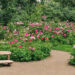Rosenbænkene i offentlige parker: En undersøgelse af deres betydning for lokalsamfundet